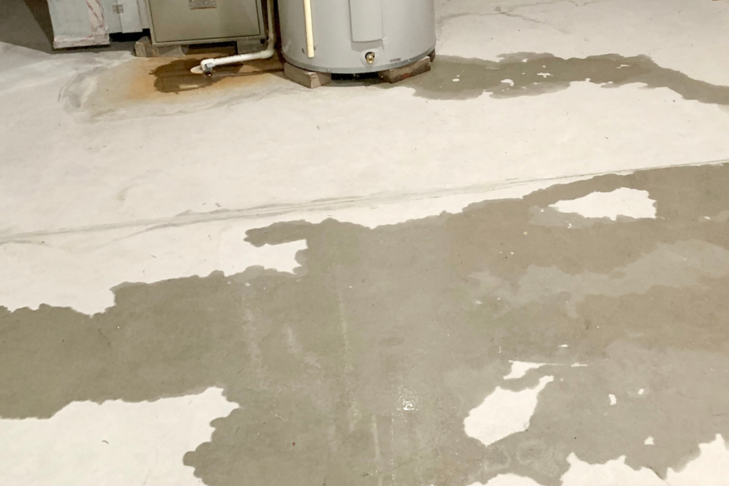 Chula Vista’s Leak Detection Experts 3